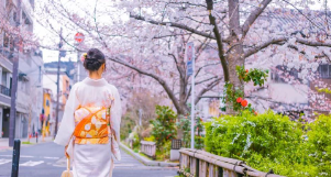 如何选择专业的日本留学品牌，让你的留学之路更顺畅