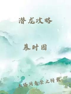 潜龙攻略