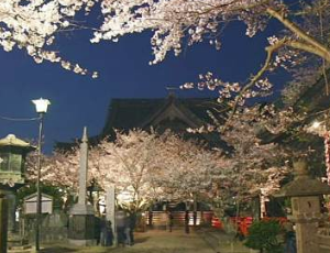 日本留学机构浅谈去日本留学前都要做哪些准备