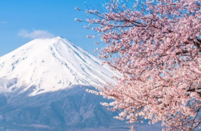 日本留学选择不同专业对应不同要求