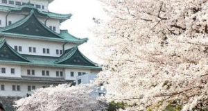 日本留学费用有多少？普通家庭如何减压？