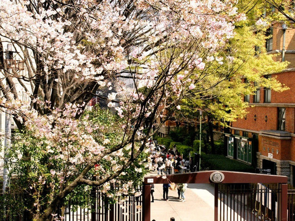 上智大学（私立）